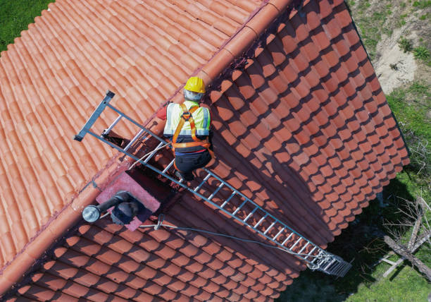 Best Asphalt Shingles Roofing  in Ellisville, MS
